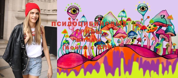 меф Алексин