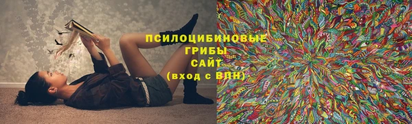 дживик Алексеевка