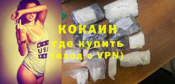 твердый Осинники